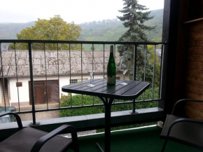 Pleasing Apartment in Traben Trarbach with Balcony